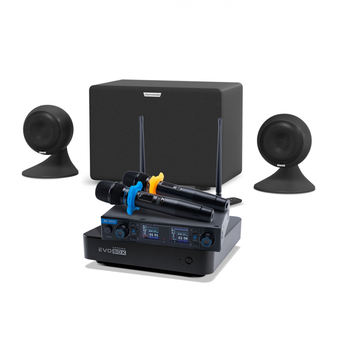 караоке-комплект EVOBOX + EvoSound Sphere 2.1 в Республике Алтай