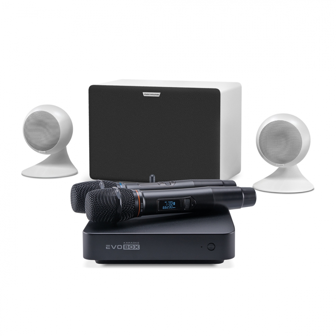 караоке-комплект EVOBOX Classic + EvoSound Sphere 2.1 в Республике Алтай