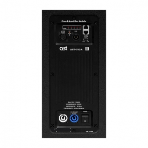 Активная акустическая система AST-310A в Республике Алтай