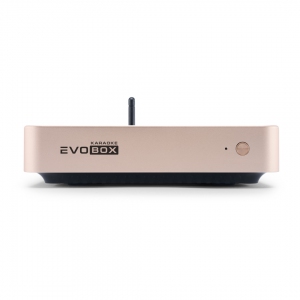EVOBOX Plus караоке-система для дома в Республике Алтай
